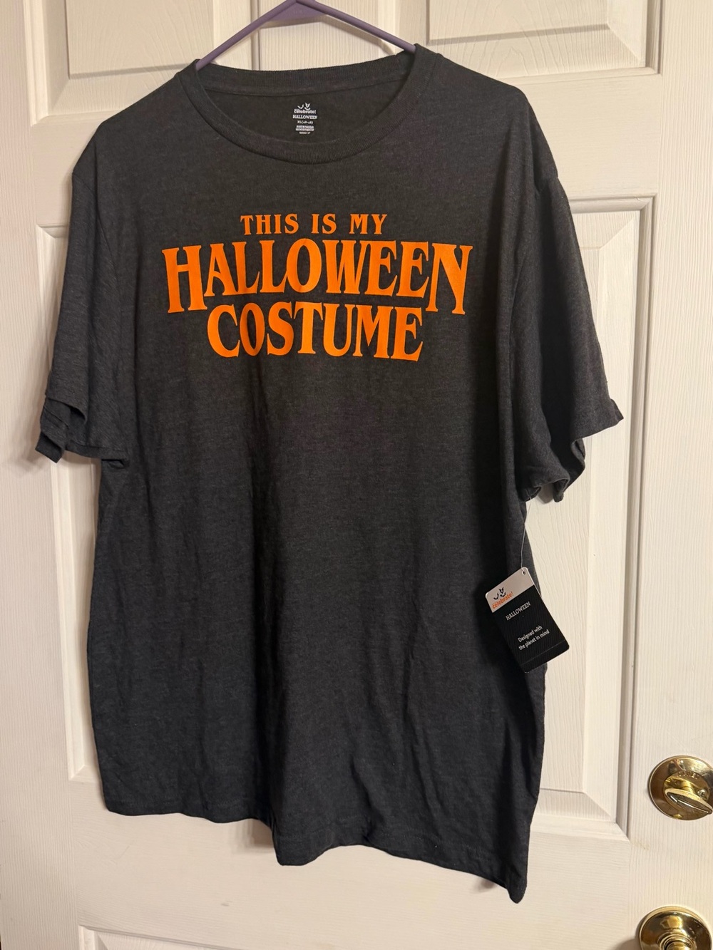 Men's Dark Gray Halloween Tee “ This is my Halloween Costume “ XL